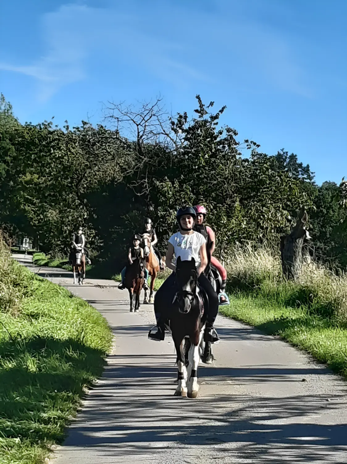 Reit und Ponyparadies Roos Reitunterricht