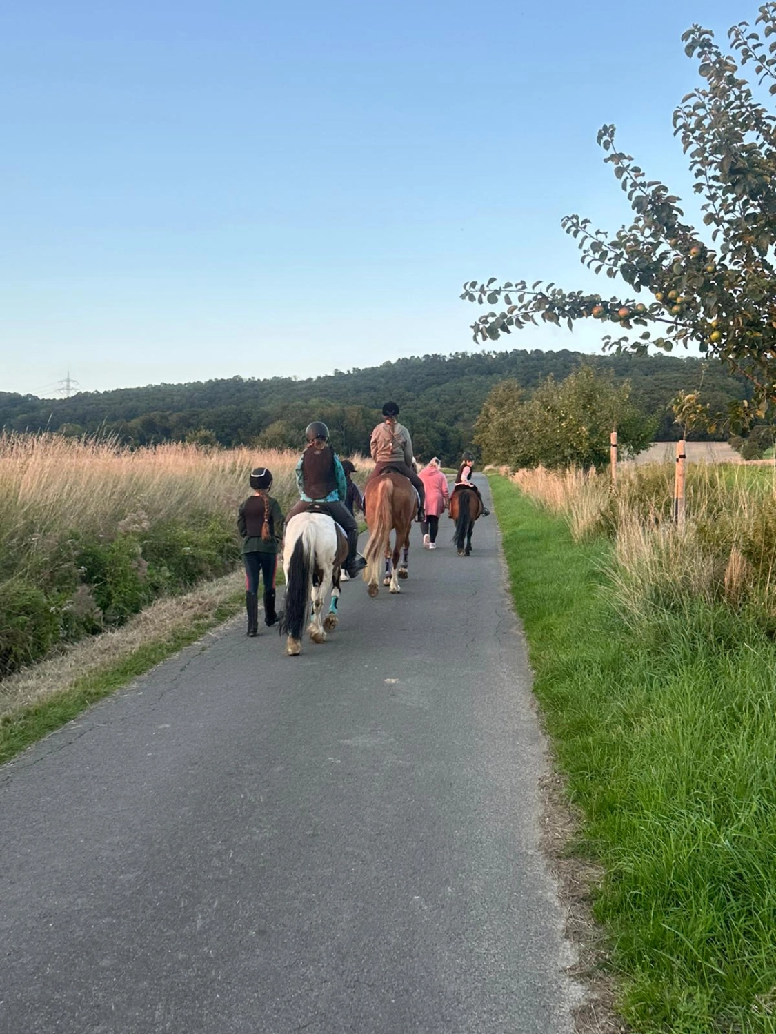 Reit und Ponyparadies Roos Mini Mäuse Reiten 3-5 Jahren.