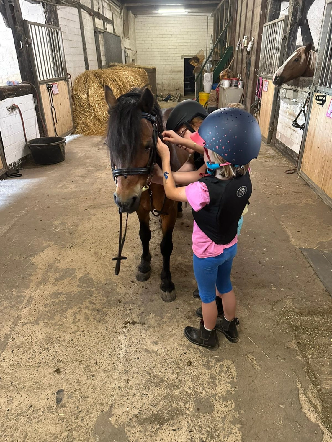 Kinder-Reitunterricht beim Reit und Ponyparadies Roos