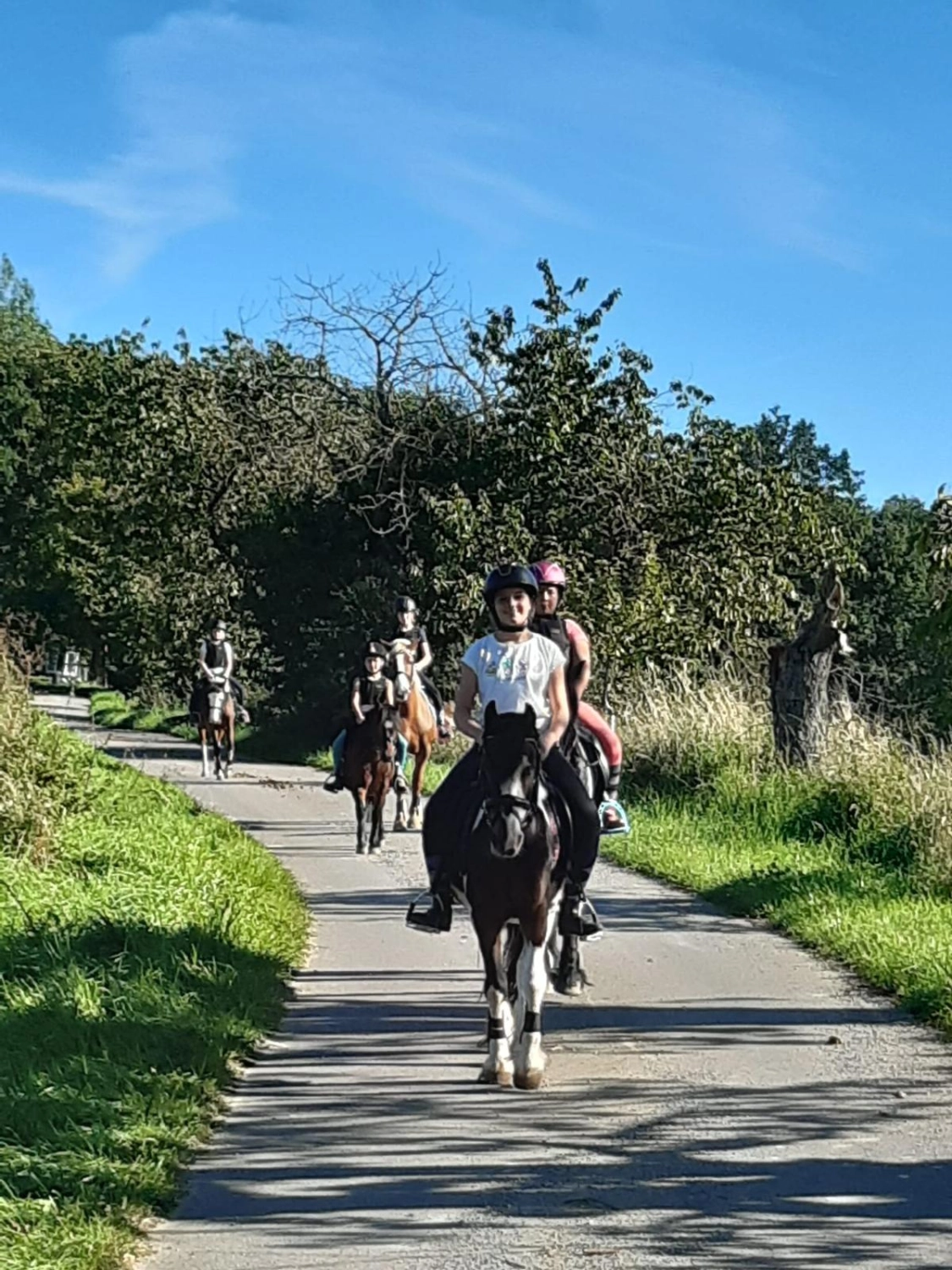 Reit und Ponyparadies Roos Reitunterricht