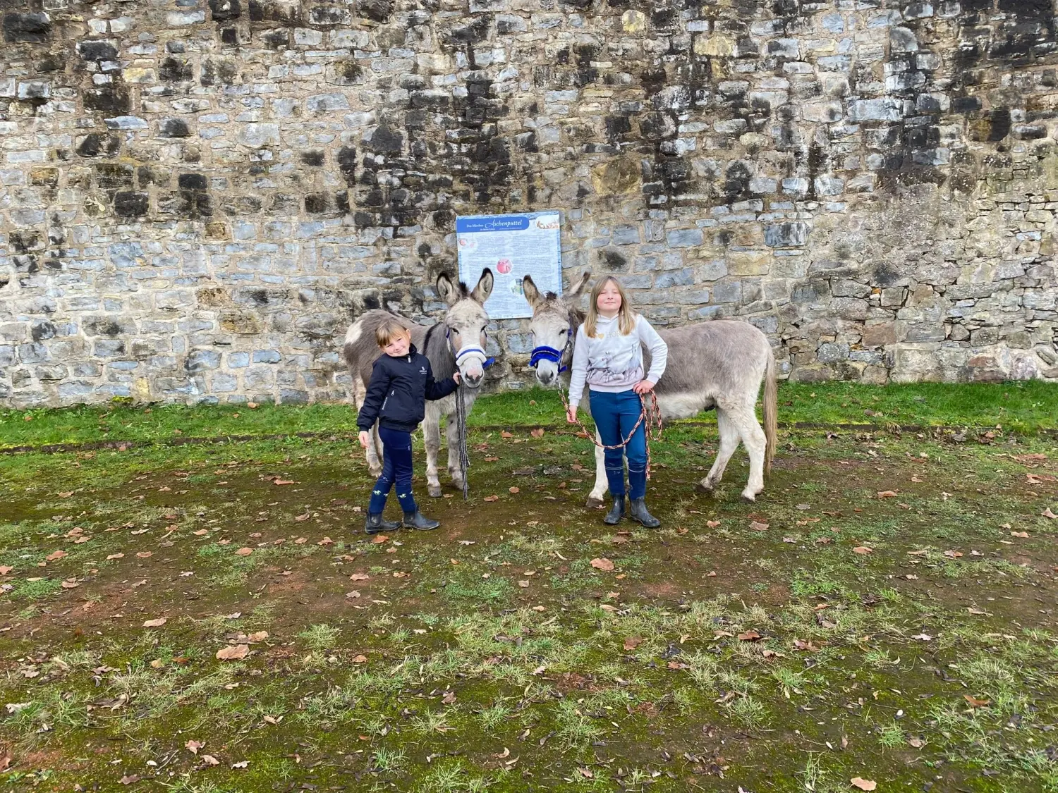 Reit- und Ponyparadies Roos Esel-Touren